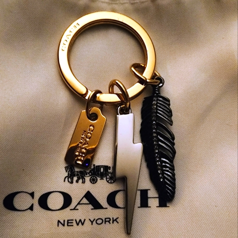 🌟 Coach Rare Discontinued Metal Feather Lightening Bolt Keychain Purse Charm 🌟